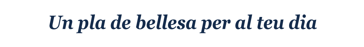 pla de bellesa per a nuvis