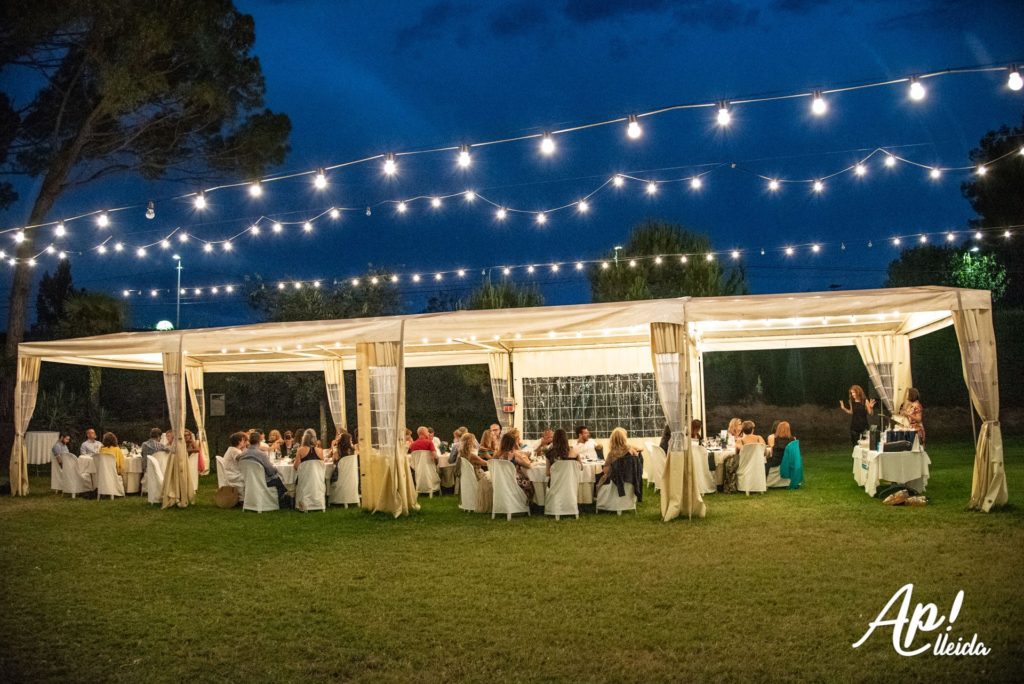 festa solidaria ap