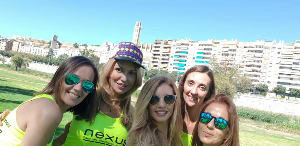 nexus solidari